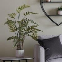 Crossland Grove Potted Fern In Cement Pot H1060Mm