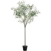 Crossland Grove Olive Tree Small Green H1720Mm