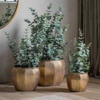 Crossland Grove Potted Eucalyptus Bush Green H680Mm