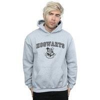 Harry Potter Men's Hogwarts Crest Hoodie in Grey | Size: 5XL