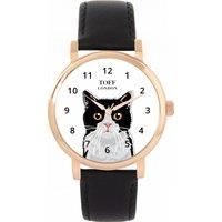 Cats Watch