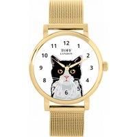 Cats Watch