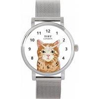 Cats Watch