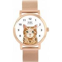 Cats Watch