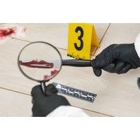 Online Forensic Psychology & Criminology Course