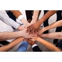 Online Diversity & Equality In The Workplace Course