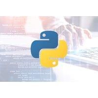 Professional Python Programmer Online Course
