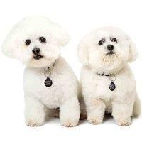 Pet Photoshoot, Print & Voucher - Hoss Photography