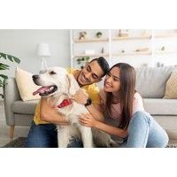 Advanced Pet Reactivity Test - Pdf Report - Test My Intolerance