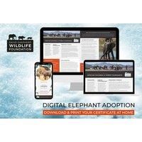 Elephant Adoption - Digital Pack - Support Conservation - David Shepherd Wildlife Foundation