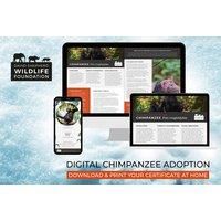 Chimpanzee Adoption - Digital Pack - Support Conservation - David Shepherd Wildlife Foundation