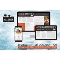 Painted Dog Adoption - Digital Pack - Support Conservation - David Shepherd Wildlife Foundation