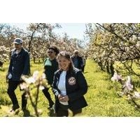 Cider Brewery Guided Tour & Tasting For 2 - Dorset