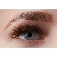 Brow Lamination Training Course - In-Person - 7 Hours