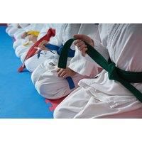 Basics Of Capoeira Martial Art Cpd Certified Course