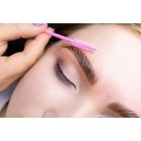 Abt Certified High Definition Brows Course