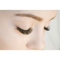 Abt Accredited Russian Volume Lashes Beauty Course