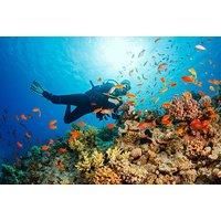 Padi Discover Scuba Diving Experience - For 1 Or 2