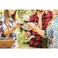 Vineyard Tour For 2 Or 4 - East Sussex