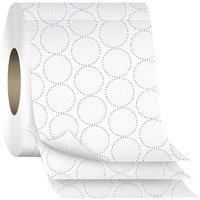 Splesh Toilet Roll- White - 60 Or 120 Rolls!