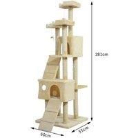 Activity Centre, Kitten Tree