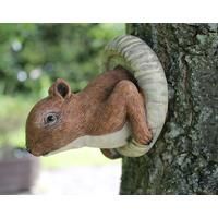 Novelty Red Squirrel Tree Peeker
