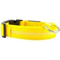 Usb Rechargeable Led Dog Collar - 7 Colours! - Pink
