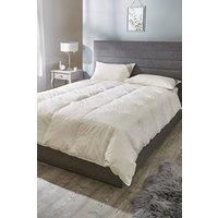 https://www.burton.co.uk/product/cotton-traders-duck-feather-and-down-13-5-tog-duvet_p-6e092f37-93ed-4662-9f79-6ea0409a1d0a£colour=White&size=Single