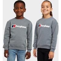 Berghaus Kids/' Logo Jumper, Kids Sweatshirt, Outdoors Clothing, Grey, Age 14-15