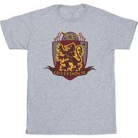 Harry Potter  Gryffindor  girls's  in Grey