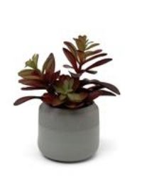 Habitat Artificial Succulent in Grey Pot