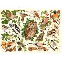 The House of Puzzles - Woodland Birds Jigsaw - Big 500 Piece Jigsaws For Adults, Extra Large Pieces, Artist Illustrated, Scenic Landscape, Deluxe Puzzle Gifts