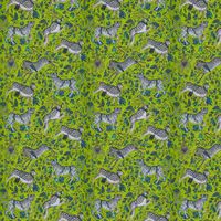 Emma J Shipley Wallpaper Protea W0119/05