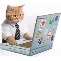 Cat Scratch Laptop Multicolour