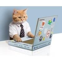 Cat Scratch Laptop Multicolour