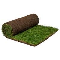 Rolawn Medallion Grass Turf - 1m rolls x 70