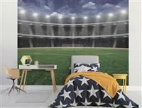 New Design Football Crazy 6 Panel Wallpaper Mural Walltastic