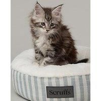 Scruffs Coastal Cat/Small Dog Bed