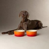 Scruffs Ombre 2pc Ceramic Dog Bowl Set - Orange 19cm