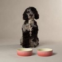 Scruffs Ombre 2Pc Bowl Set - Pink 15Cm