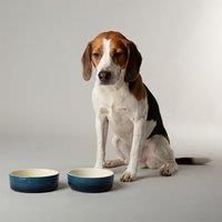 Scruffs Ombre 2pc Ceramic Dog Bowl Set - Blue 15cm