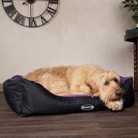 Scruffs Expedition Box Bed (S) - Extra Large