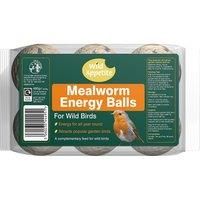 Wild Appetite Energy Balls with Mealworms for Wild Birds - 6 Pack