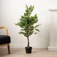 Scottish Everlastings Ltd Mini Ficus Tree 105cm, Green
