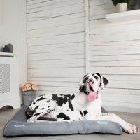Scruffs Cool Dog Bed - XL