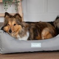Scruffs Expedition Travel Dog Box Bed (XL)