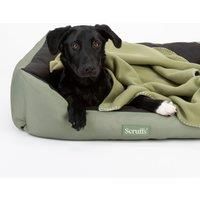 Scruffs Expedition Box Bed (M) - Khaki Gree, Green