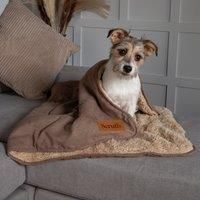 Scruffs Dog/Pet Snuggle Blanket - Caramel Brown