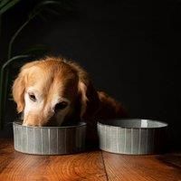 Scruffs Ceramic Heavy Duty Reactive Glaze Pet Bowls - 2pc Set - Grey Pinstripe - 19cm