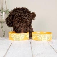 Scruffs Aztec 2pc Ceramic Dog Bowl Set - Sunflower 15cm